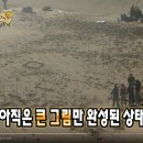 사막녹화 이미지
