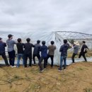 청림동-17 이미지