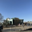 서울깍두기 앞 교통섬 | 가족모임 하기 좋은 가성비 뷔페 - 서울 세빛섬 채빛퀴진