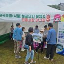 곡성세계장미축제장 이미지