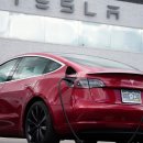140 25/10/15 NHTSA ivestigates Tesla's full self driving mode after its cr 이미지
