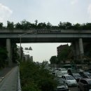 생태터널입구 이미지