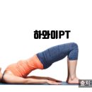 하와이피티 이미지