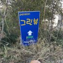 그린뷰 펜션 네이버블로그