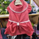 문화애견 이미지