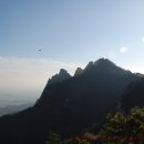 느티나무사거리 이미지