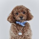 크라프트(CRAFT) 이미지