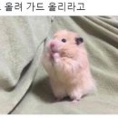 돌쇠풍천민물장어 이미지