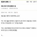 하루댕댕 이미지
