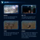 이공크래프트