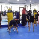 태백체육관 이미지