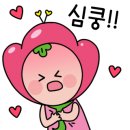 용인대힘찬태권도 이미지