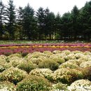 용대관광지2 이미지