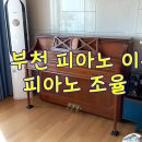 피아노 | 부천에서 피아노 이동과 피아노 조율 후기