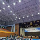 용인대 대호 태권도 이미지