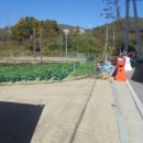 엄사면 엄사리 281 이미지