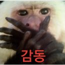 도도독B 네이버블로그