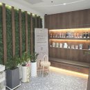 소림길 | 정자역 미용실 예움헤어 분당정자점 소림쌤 레이어드 펌 후기