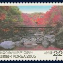 포토세상