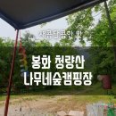 청량산나무네숲캠핑장 이미지