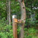 선명사슴농장 이미지