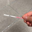 뿌리큰한의원 | 대추밭백한의원 실패 후 4대원장님 전화진료 가격