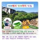 [[할인]]인디언감자(아피오스), 강황분말(환) 판매합니다. 이미지