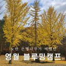 블루밍캠프 이미지