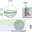 마이셀 네이버블로그