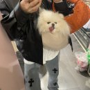 킹스꼬마김밥NC충장점 이미지