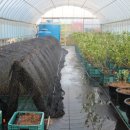 강선목장 이미지