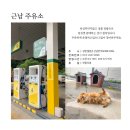양지석유판매소 이미지