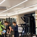 원스피티 이미지