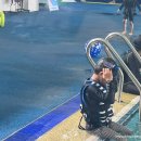 에어 스포렉스 이미지