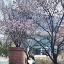 음악관 화장실 이미지