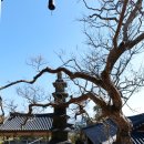 남원 선국사 건칠아미타여래좌상 및 복장유물 이미지