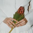 [위아요가/ 아차산역요]왜 당질을 줄여야 할까?! 이미지