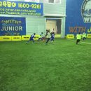 팀스타주니어스포츠클럽 이미지