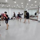 동양킥복싱MMA 이미지