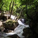 계곡이 아름다운 집 이미지