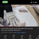 미니스톱 강릉사천점 | 10.2.-10.3. 강릉 낚시 등산 해변 백패킹