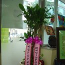 계림1동주민센터 이미지