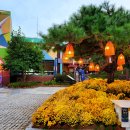 대가야테마관광지 야외무대 이미지