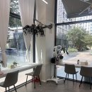 기분좋은헤어 | 햇살 잘 드는 미용실에서 기분 좋은 변화 시작 수원 봄온헤어 후기 (내돈내산)