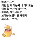 인하카마스타 이미지