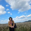 순천만 갈대숲 호스텔 | [순천만습지 여행]끝없이 펼쳐진 갈대의 바다에서 자연을 만나다