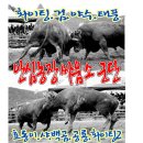 안심농장 이미지