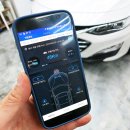 카프랜드 이미지