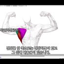 정영채 | [12주차]220626_대원근과 광배근 정리/스트레이트 어헤드 포즈 투 포즈 정리/기초어택연타복습