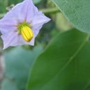 남구청 건설과 이미지